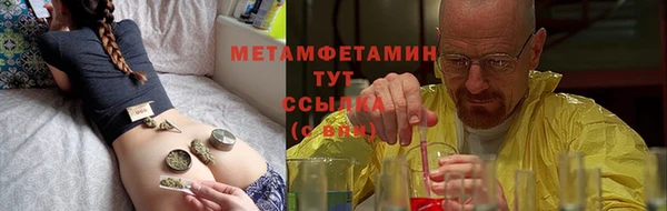 прущие грибы Беломорск