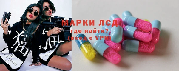 прущие грибы Беломорск