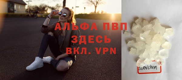 прущие грибы Беломорск