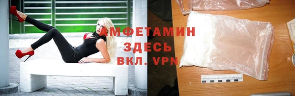 прущие грибы Беломорск