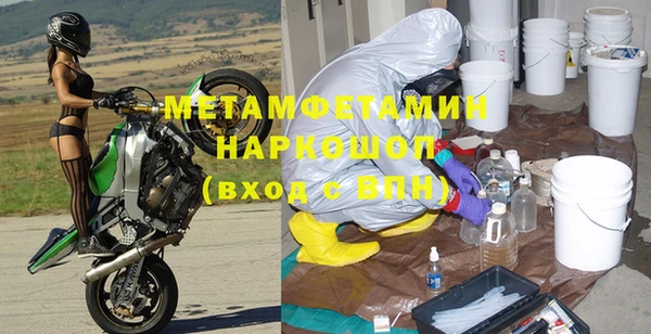 прущие грибы Беломорск