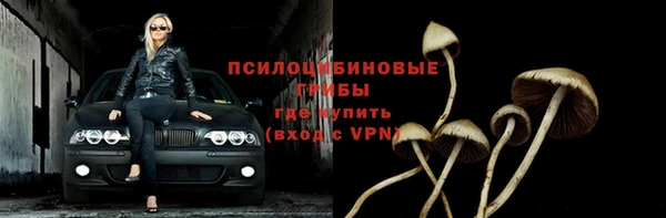 ешки Белоозёрский