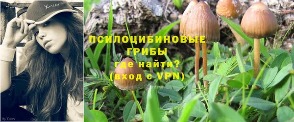 ешки Белоозёрский