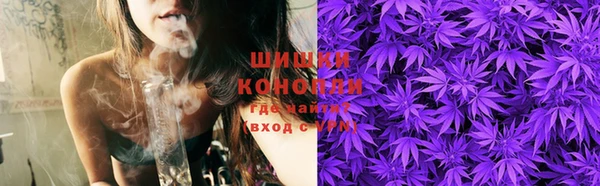прущие грибы Беломорск