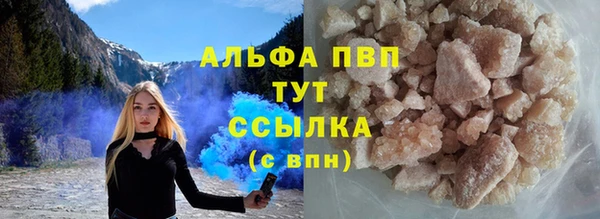 прущие грибы Беломорск